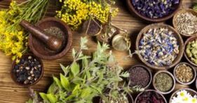 Folk Remedies fir Parasiten