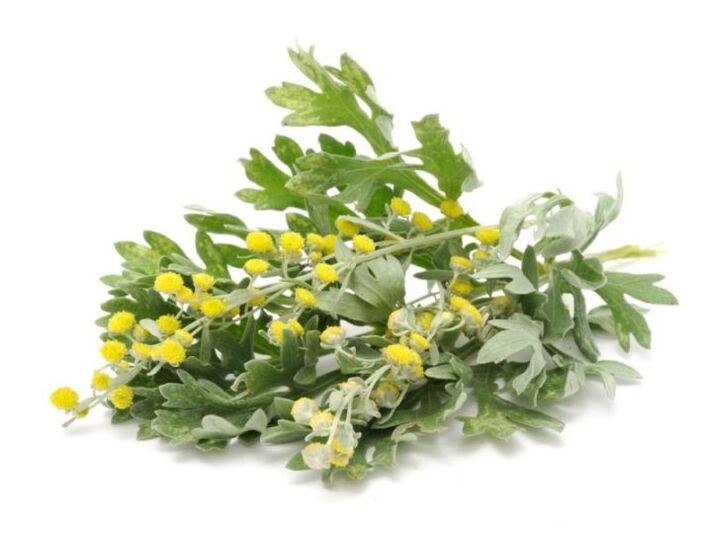 Sagebbush
