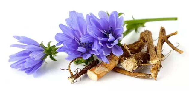 Chicoresch Root