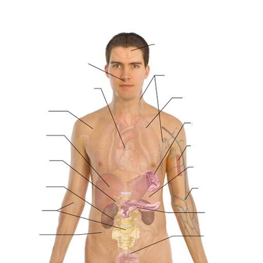 Unzeeche vun der Präsenz vu Parasiten a verschiddenen Organer